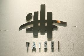 Taisei Corporation Logo
